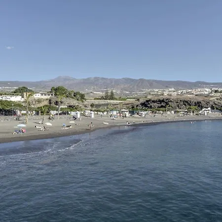 Gaviota Playa de San Juan (Tenerife)