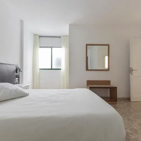 Gaviota Playa de San Juan (Tenerife)