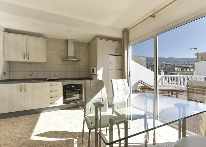 Gaviota Playa de San Juan (Tenerife)