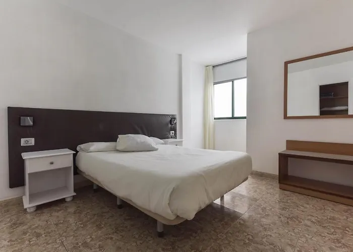 Gaviota Playa de San Juan (Tenerife)