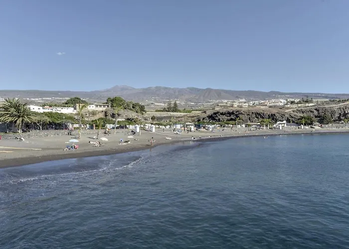 Gaviota Playa de San Juan (Tenerife)